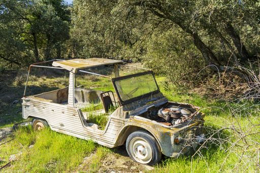 An old destroyed, rusty car in the middle of a park
