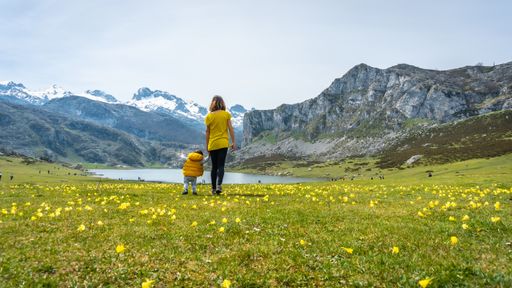 A back shot of a child taking his first steps with his mother in a green field near to Lake Ercina, Lakes of Covadonga, Asturias, Spain