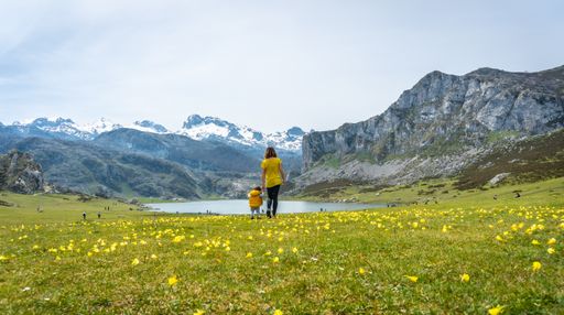 A back shot of a child taking his first steps with his mother in a green field near to Lake Ercina, Lakes of Covadonga, Asturias, Spain