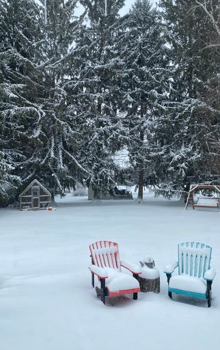 A vertical shot of two snow-covered colored chairs in the garden