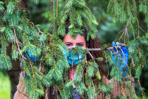 A horizontal shot of a young caucasian female with a medical mask on posing behind branches of a tree