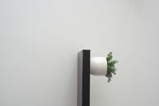 A vertical shot of a succulent plant in a ceramic pot on a shelf against a white wall