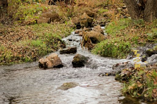 A river stream in nature