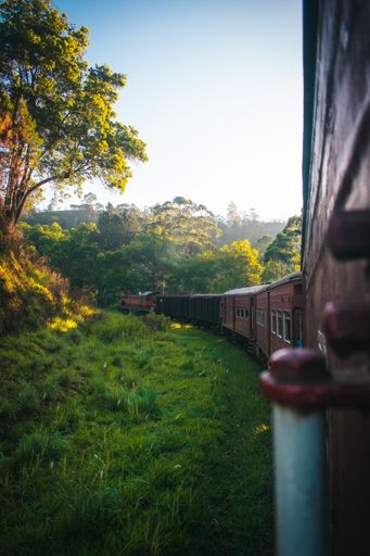 A vertical shot of Kandy to Badulla postal train going through beautiful nature