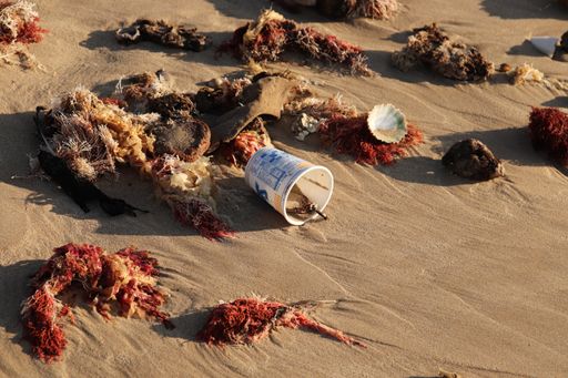 Trash and seaweed that has washed up on a sea shore. Ocean pollution concept image.
