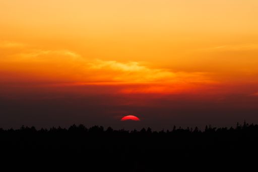 A distant view of a beautiful reddish sunset with silhouette of trees in the foreground in Hampshire, United Kingdom