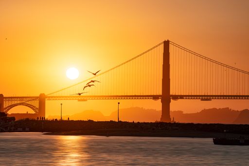 A silhouette of Seagulls flying above sun setting behind Golden Gate Bridge over sea
