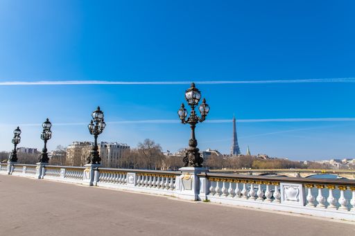 Paris, the Alexandre III bridge on the Seine, with the Eiffel Tower in background
