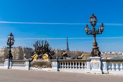 Paris, the Alexandre III bridge on the Seine, with the Eiffel Tower in background