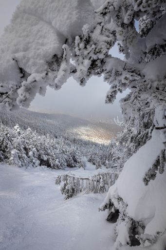 A vertical shot of beautiful mountains during winter