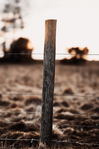 A vertical closeup of a wooden pole with barbed wire on a blurred background