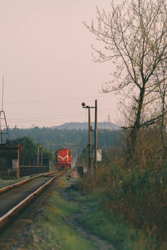 A scenic shot of a moving orange train on a railroad surrounded by grass and trees
