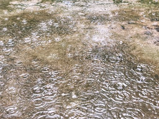 Rainy day. Raindrops fall on the floor forming circular patterns. monsoon concept.