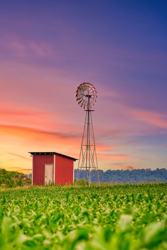 A vertical shot of an old windmill near a small cabin in a green field on a beautiful sunset background