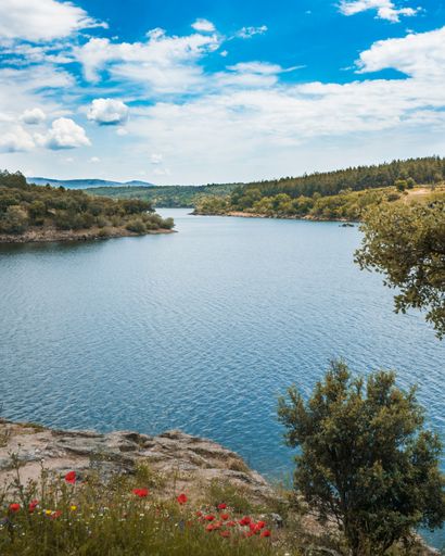A beautiful view of a lake in a forest with green trees under the blue cloudy sky