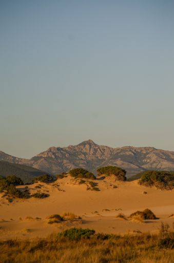 A vertical shot of a sandy desert on  rocky cliffs background on a sunny day