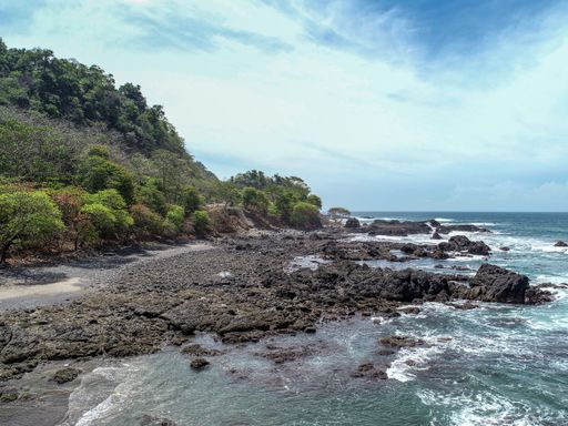 A beautiful view of trees near the rocky seashore in Costa Rica