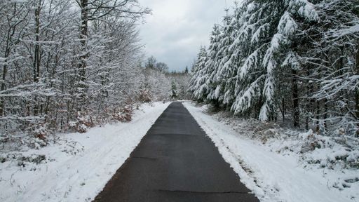 A scenic view of a road surrounded by leafless forests covered with snow in winter in Bavaria, Germany