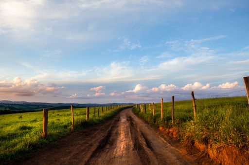 A closeup shot of a muddy road with fields of grass on both sides and blue sky with random clouds