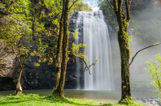 A beautiful shot of a waterfall surrounded by trees at daytime