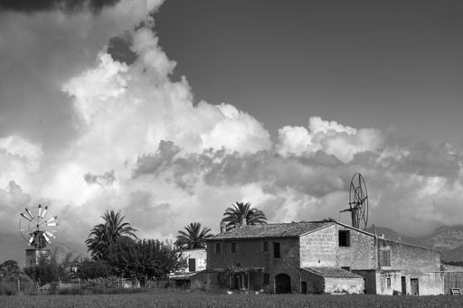 A rural area with old houses, windmills and palm trees under the cloudy sky
