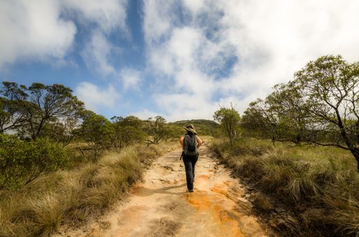 A beautiful shot of a young female hiking on a pathway surrounded by greenery