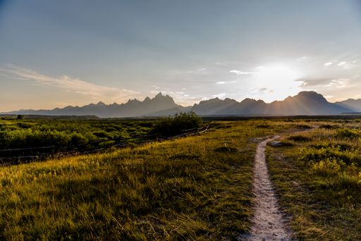 A green field and mountains under the clear sky in Grand Teton national park in Wyoming, USA
