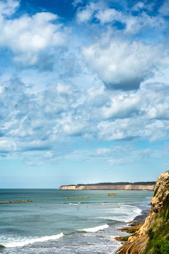 A vertical aerial shot of wavy sea and rocky beach under cloudy sky