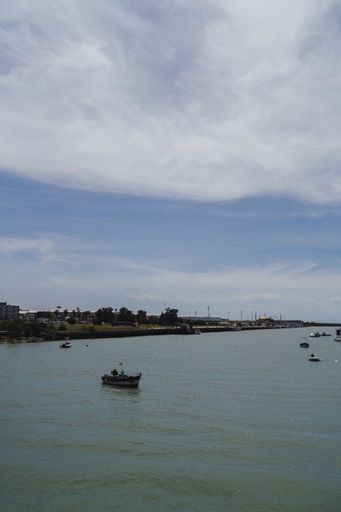 A vertical shot of a port with multiple sailing boats