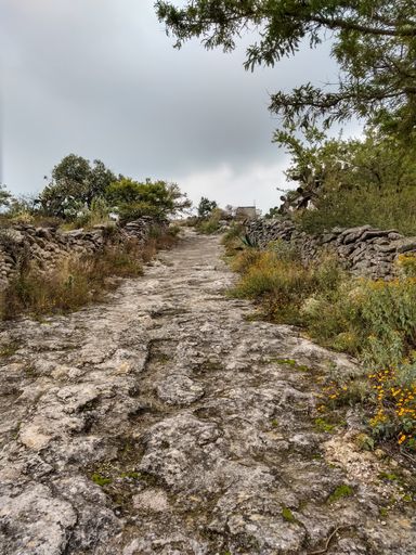 A vertical shot of a rocky road surrounded by dry plants on a cloudy day