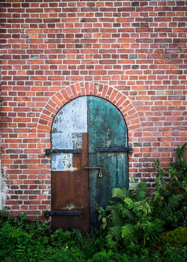 A vertical shot of green ferns growing near a brick wall with arched wooden doors