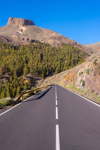 A vertical shot of an open road surrounded with mountains and green trees