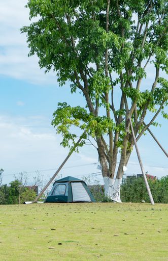 A vertical shot of a tent under a tree in a field