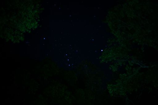 A beautiful night sky with stars over the forest with green trees
