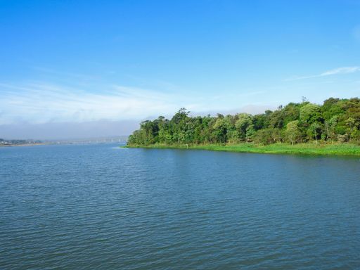A beautiful view of a lake and a forest under the blue sky on a sunny day