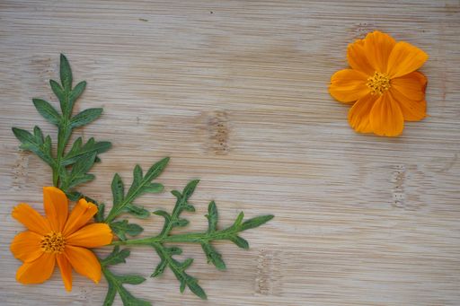 A high angle shot of orange flowers and green leaves on a wooden surface