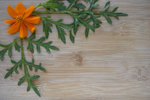 A high angle shot of orange flowers and green leaves on a wooden surface
