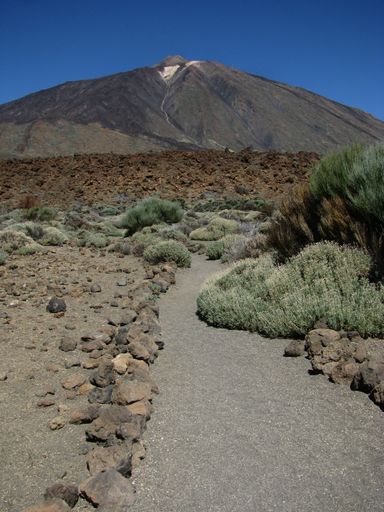 A vertical shot of the Volcano Teide in Tenerife during the day