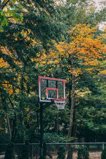 A vertical shot of a basketball hoop against trees in autumn