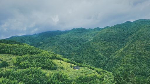 A scenic view of forested mountains with a small rural house in the middle of greenery