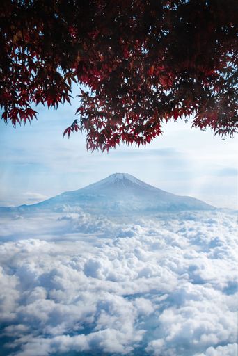 A vertical shot of the Mount Fuji in Autumn