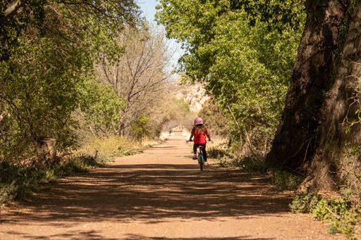 A Child riding a bike down Peavine Trail in Prescott Arizona in Spring Time, under a canopy of trees