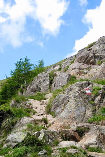 A vertical shot of big rocks on a slope with green plants under cloudy sky