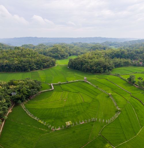 An aerial beautiful green Agriculture meadows with trees under gray sky in Indonesia