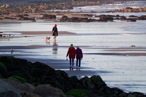 People walking their dogs on the rocky beach in the evening. Low tide at the Irish east coast.