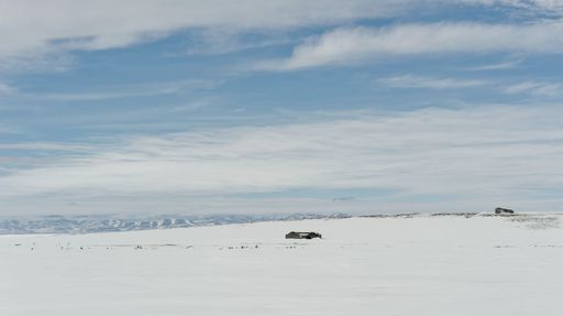 Two desolate log cabins ruins along Yukon's Beaufort Sea coast in Ivvavik National Park Canada in winter