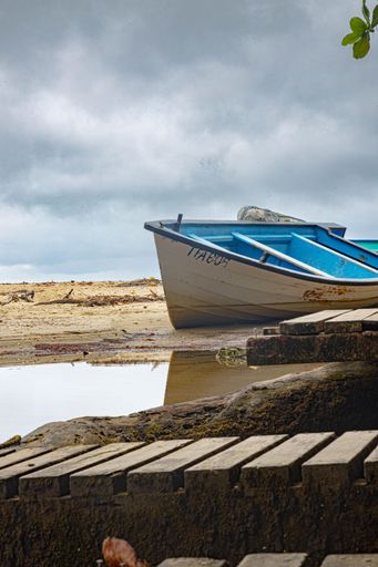 A vertical shot of a white and blue rowboat on the shore
