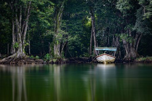 A breathtaking view of an abandoned fishing boat near the shore surrounded by lush green trees