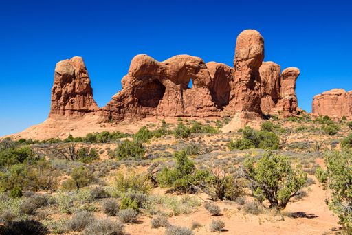 A scenic view of the Parade of Elephants rock formation in Grand County, Utah