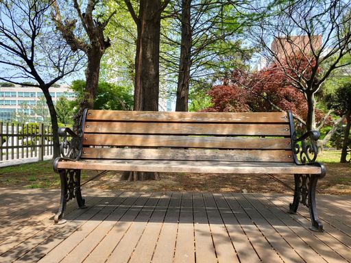 A closeup of an empty wooden bench with colorful trees in the background by a university